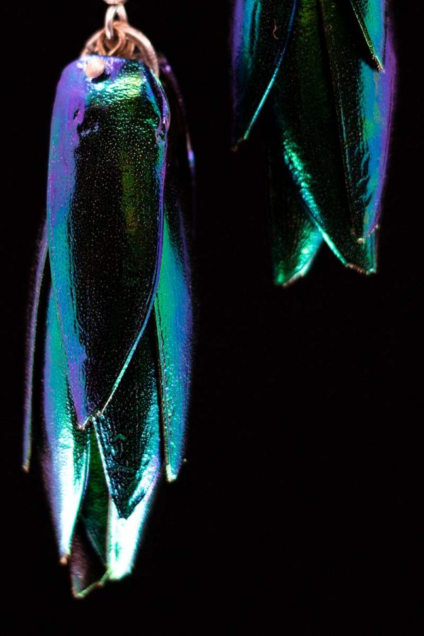 Iridescent Beetle Shell Earrings